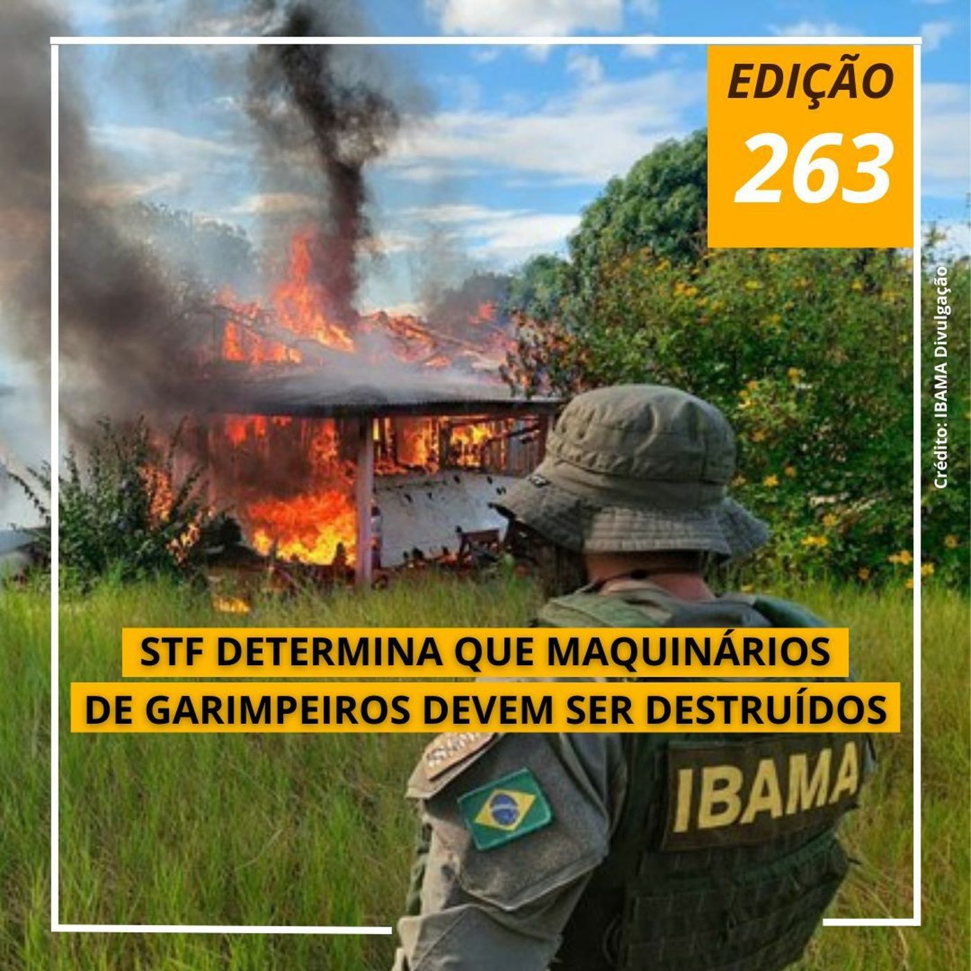 Copiô, parente!