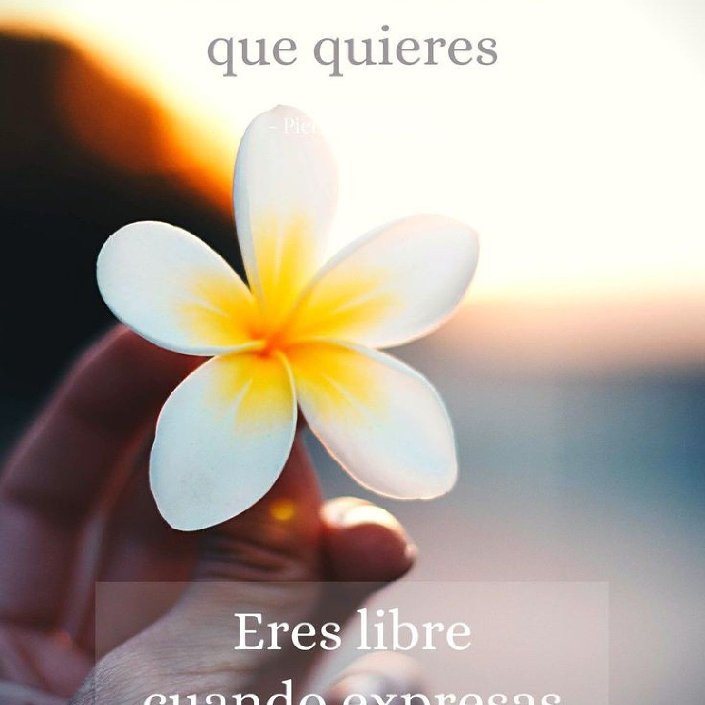 Callar es de cobardes