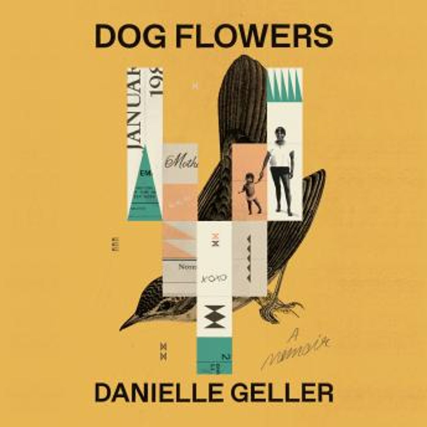 Grab the Essential Full Audiobooks in Non-Fiction, Social Science