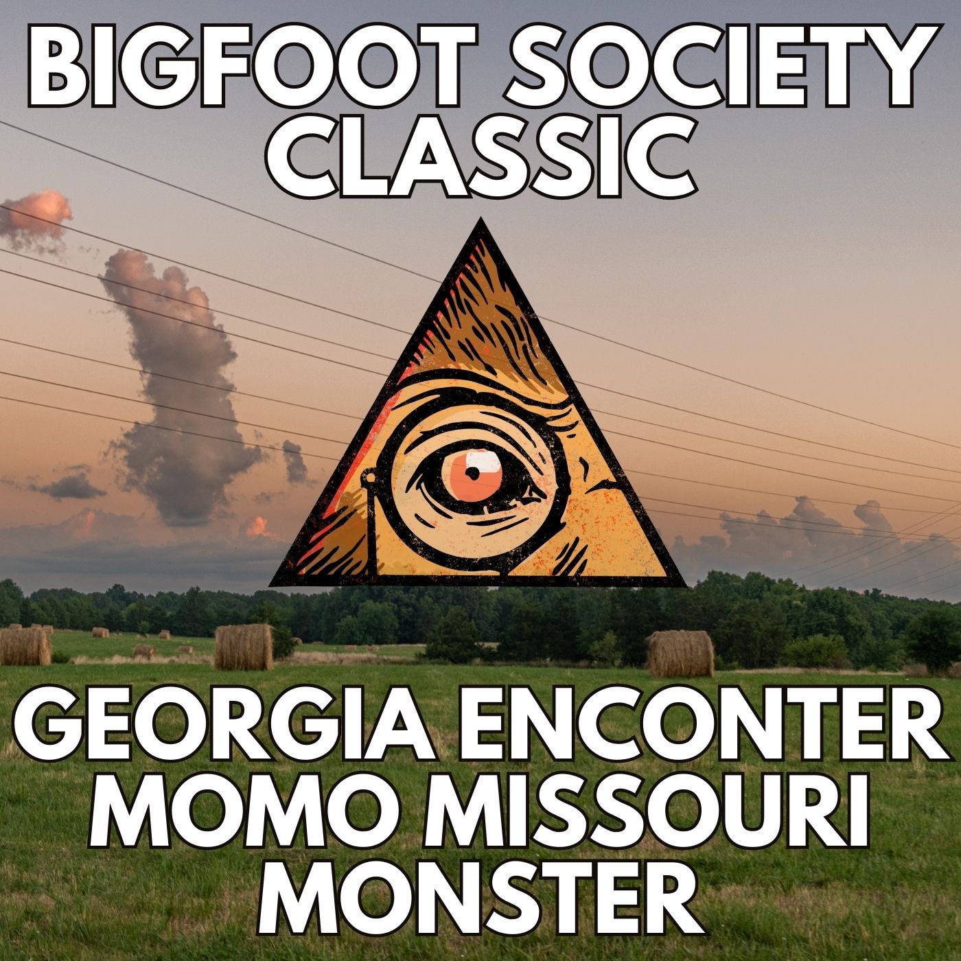Georgia Sasquatch and The Momo Missouri Monster (Bigfoot Society Classic)