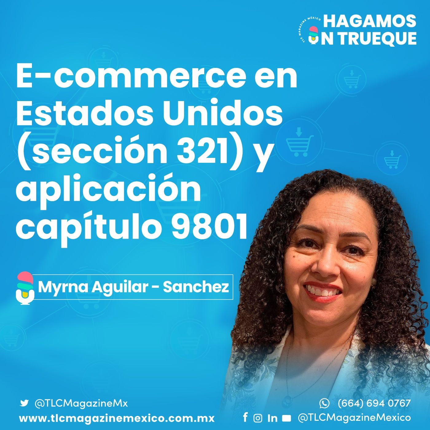 Episodio 87. E-commerce en Estados Unidos (Sección 321) y la aplicación del Capítulo 9801 episode artwork