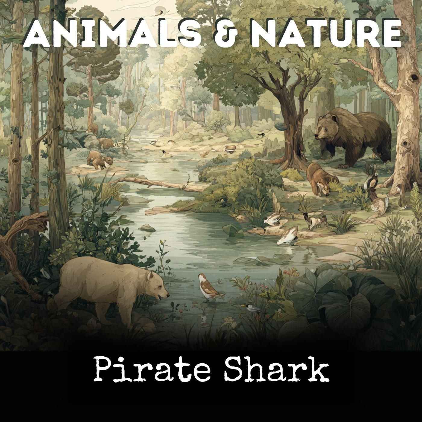 Pirate Shark cover art