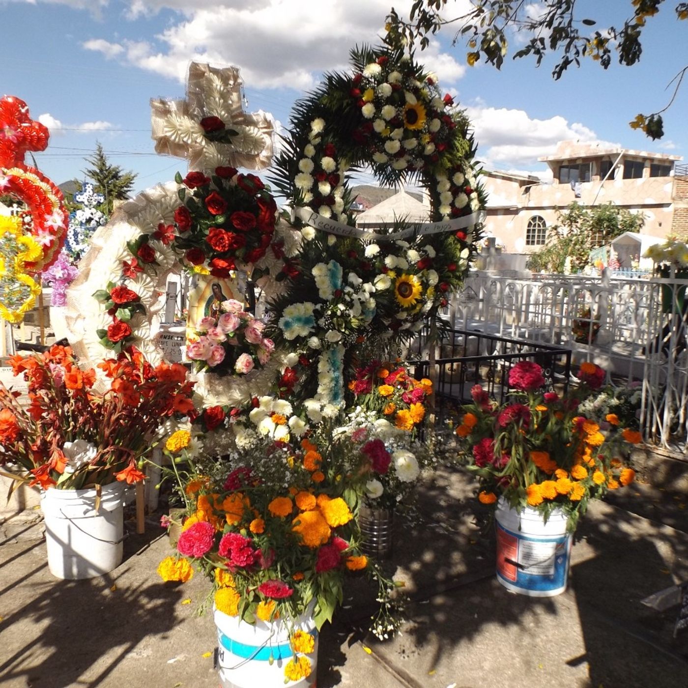 Historias de Miedo Mayo 1 de 2024 DILE QUE ME PERDONE