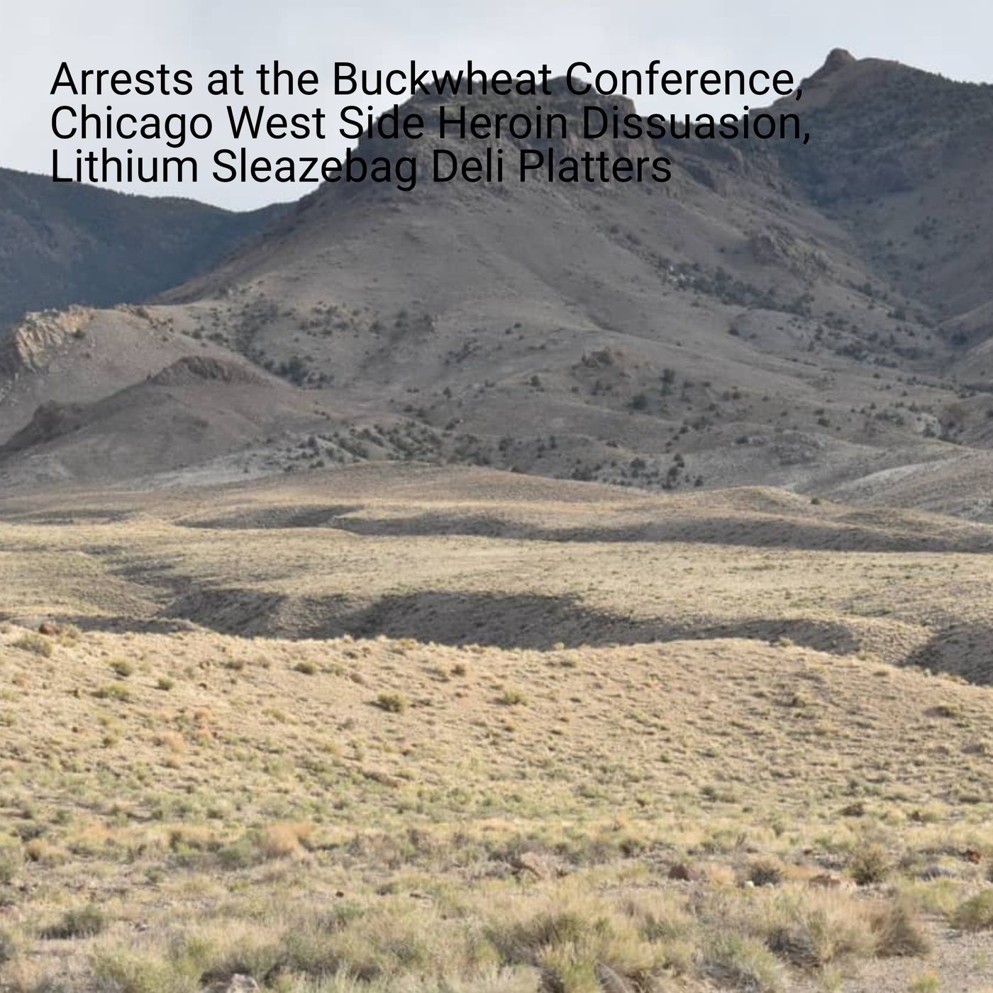 Arrests at the Buckwheat Conference, Chicago West Side Heroin Dissuasion, Lithium Sleazebag Deli Platters