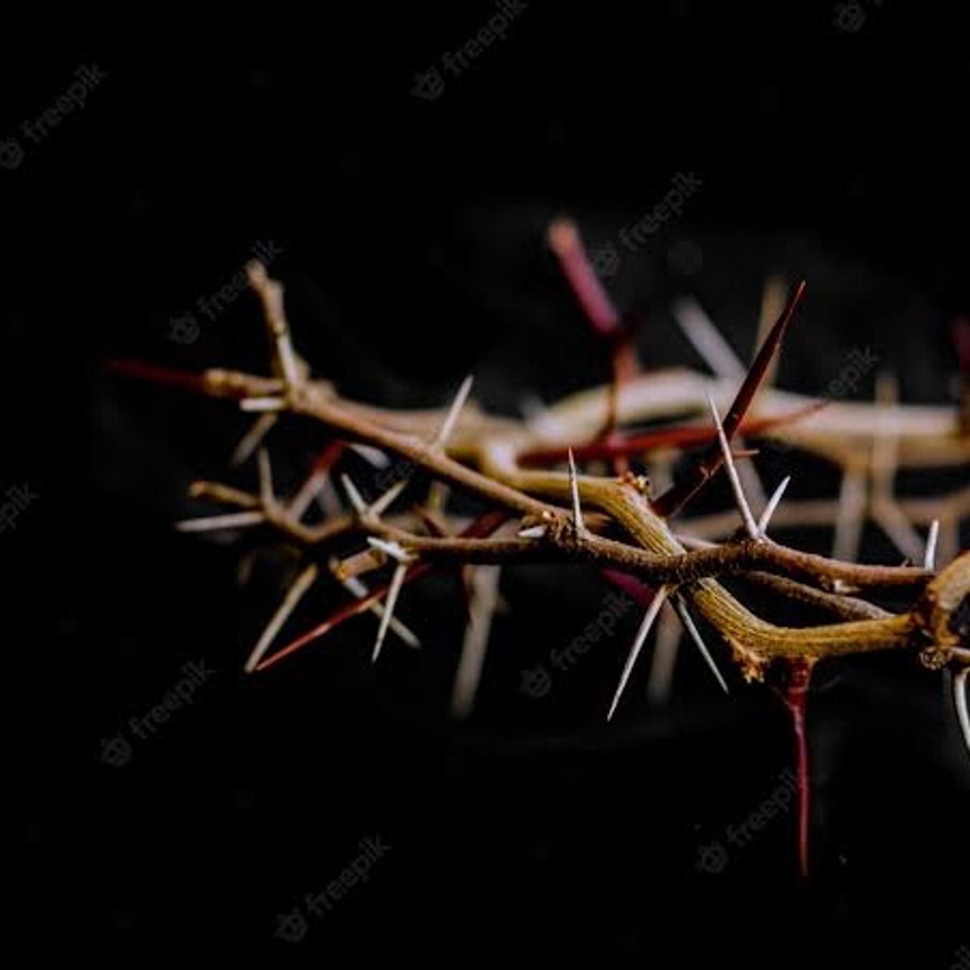 Christians need to abandon this culture now!