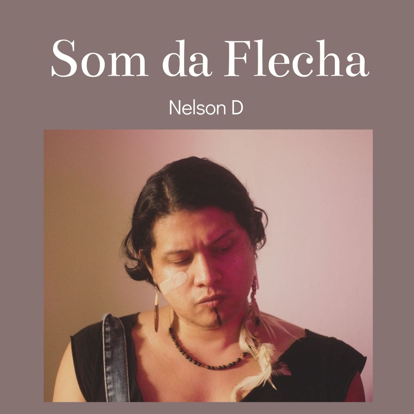 Vozes Decoloniais
