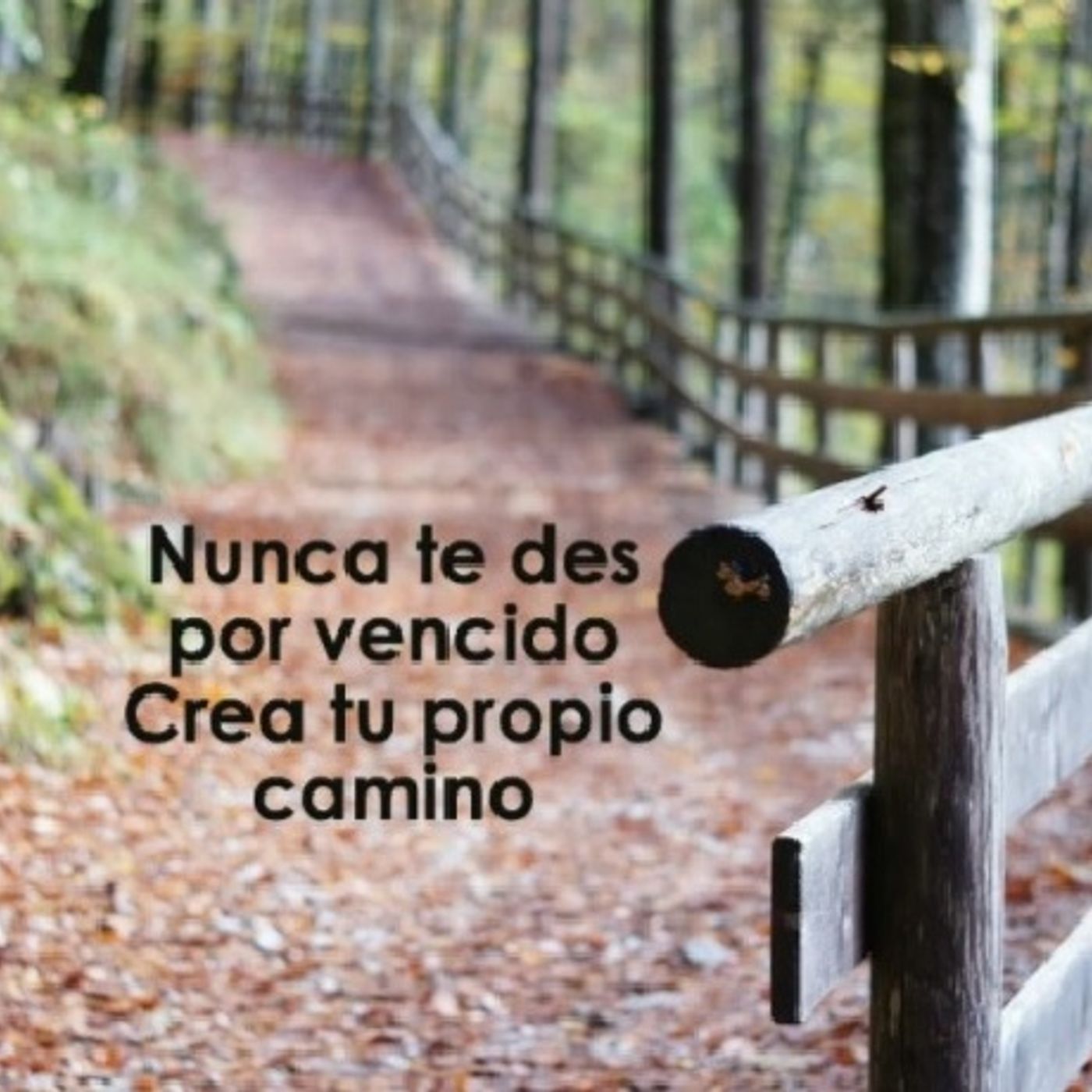 Ideas y Reflexiones Camino de Vida