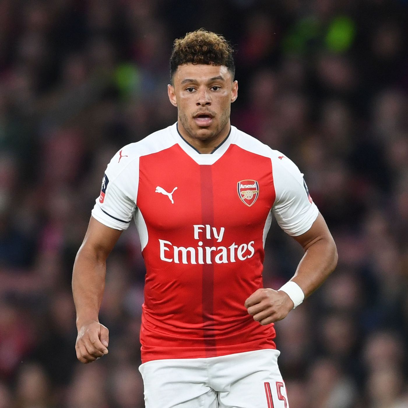 Should Ox stay or should he go?
