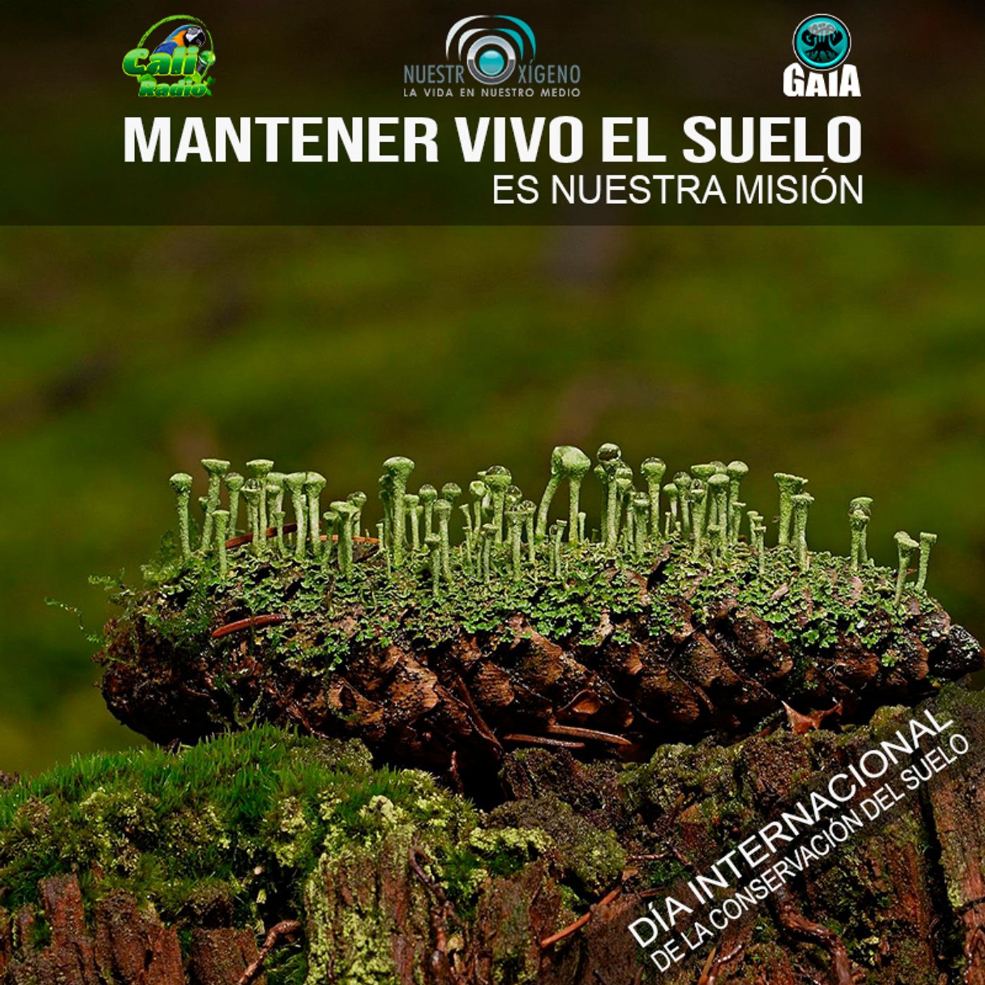 2022 Nuestro Oxigeno 07- Julio