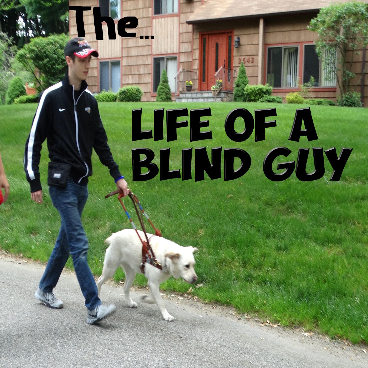 Life of a Blind Guy