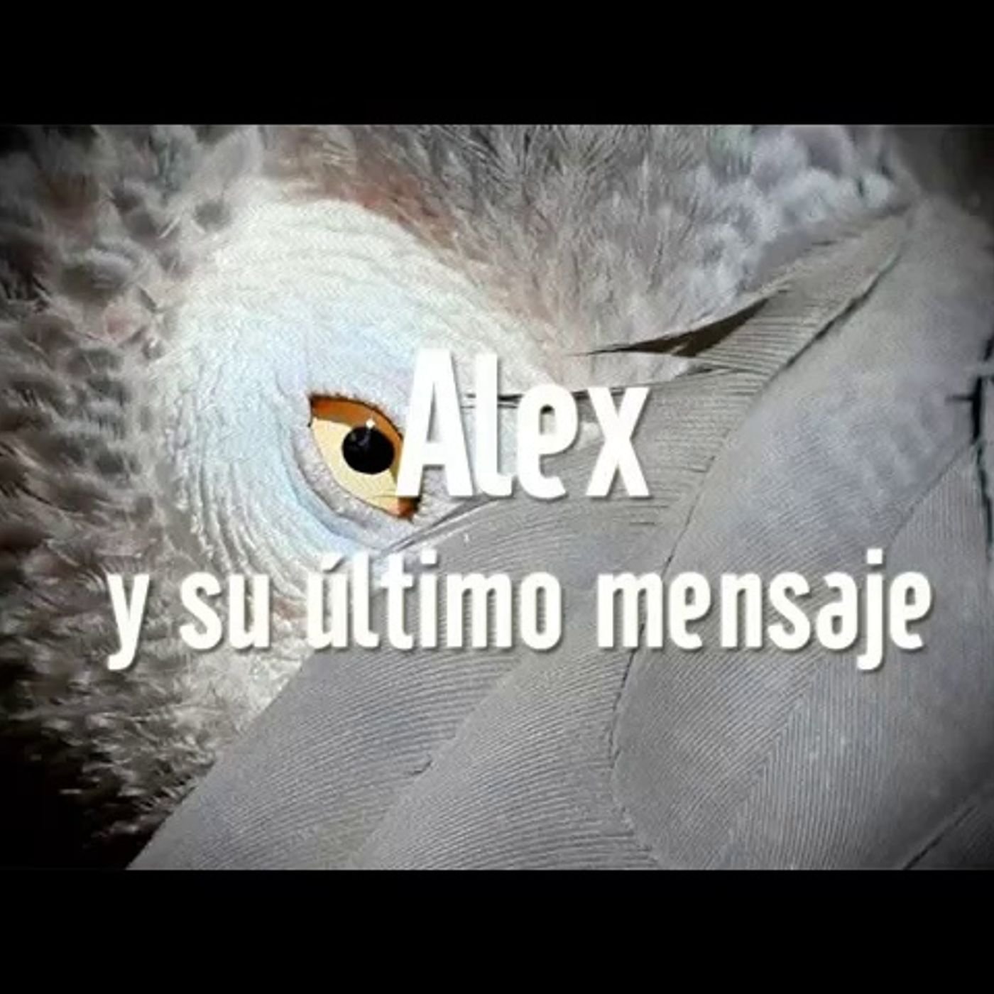Portada de El Podcast de DrossRotzank