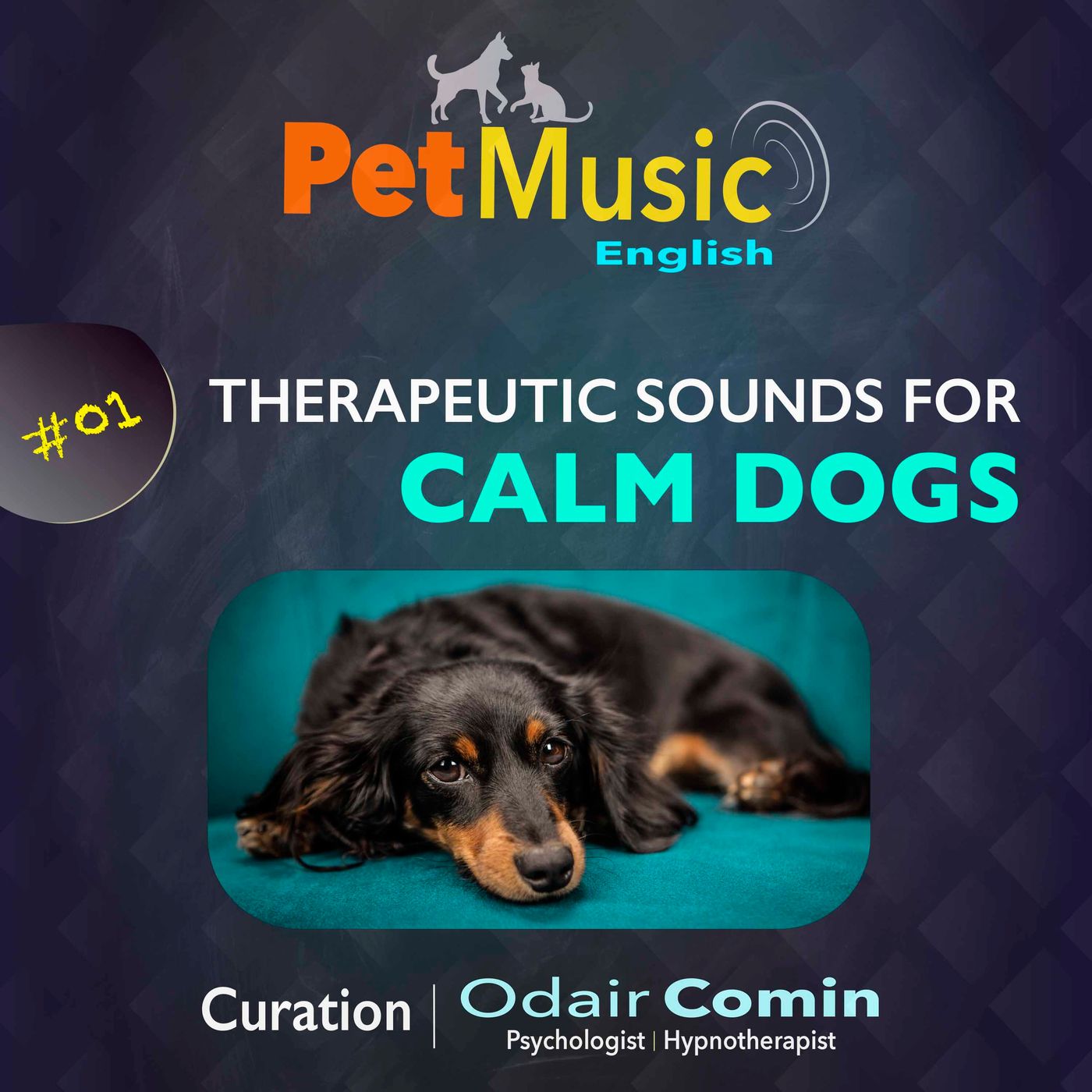 #01 Therapeutic Sounds for Calm Dogs | PetMusic