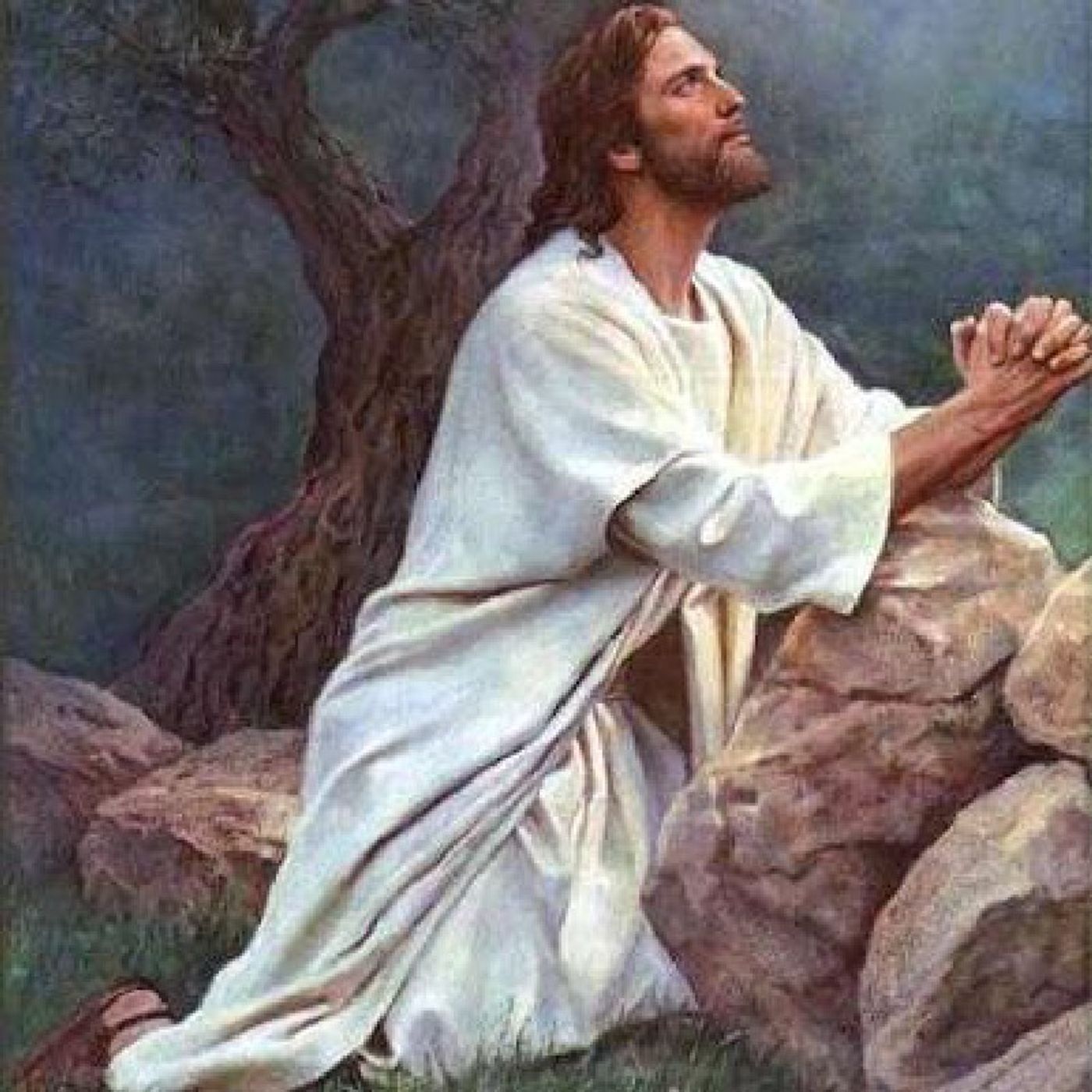 La Reflexión del Día "La bondad de Dios en los momentos de prueba" episode artwork