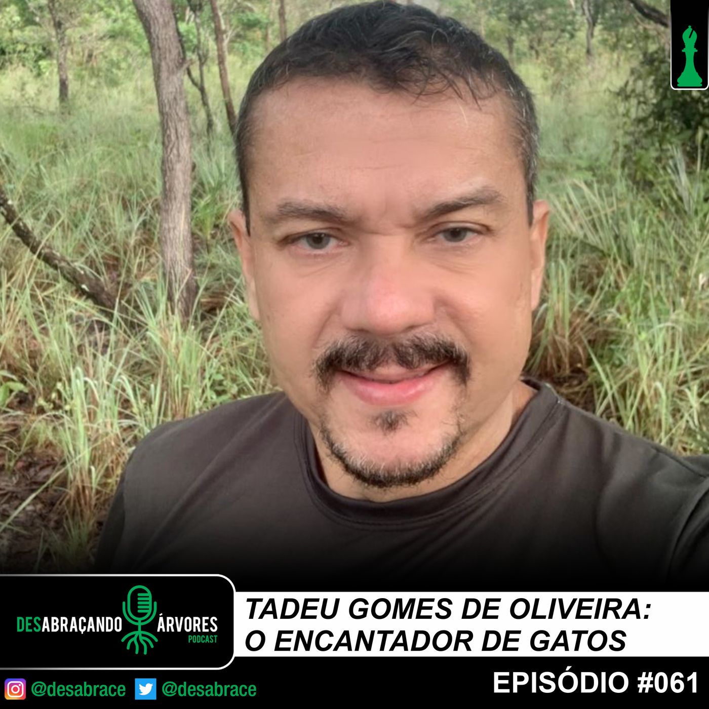 DesAbraçando Árvores
