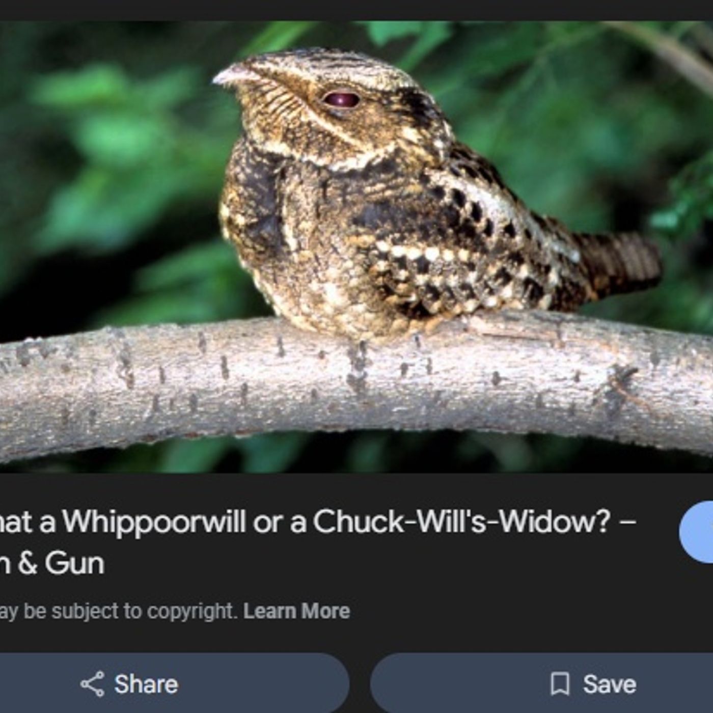 Episode #2460 How Moving to Louisiana Revealed the Power of Standing Out