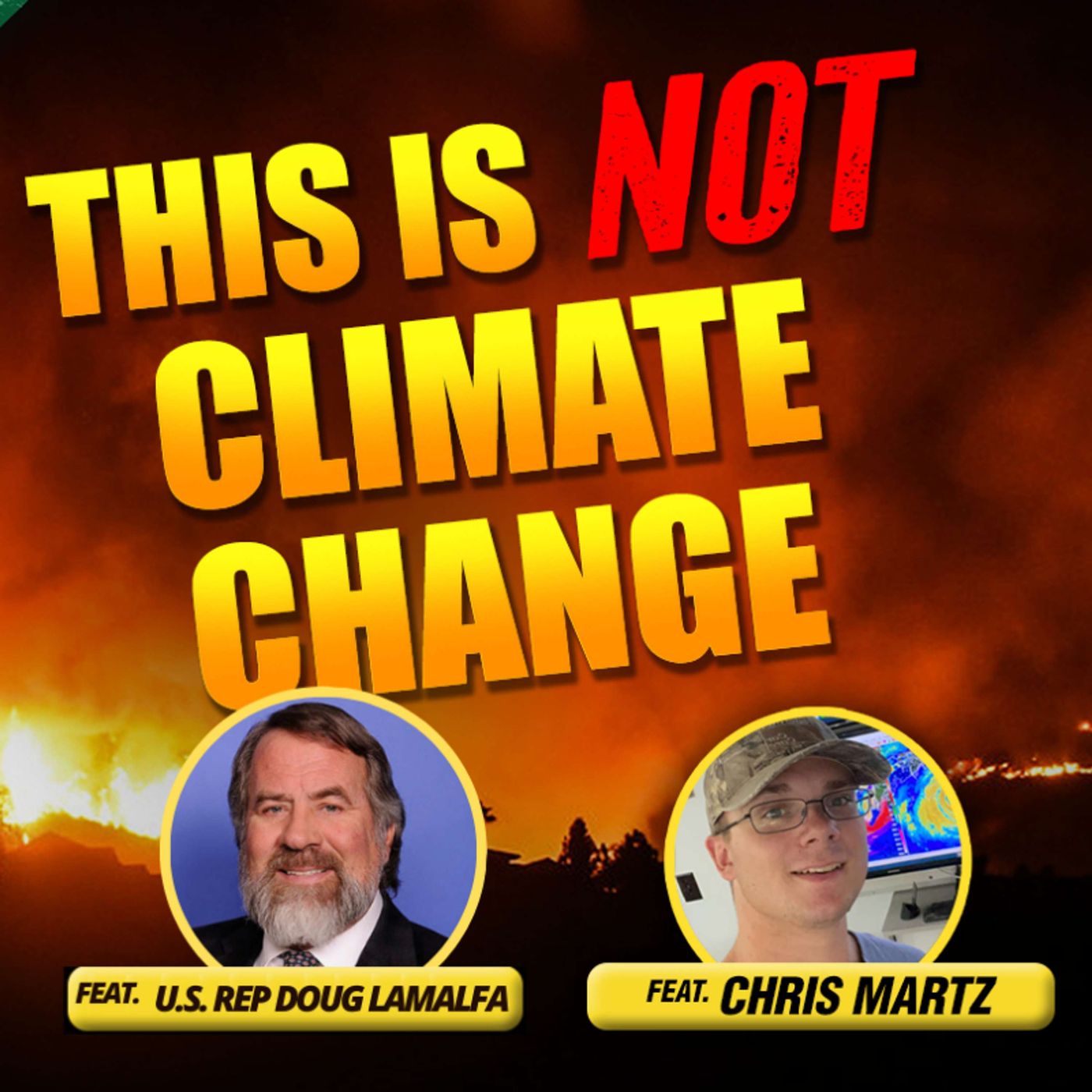 LA Fires NOT Caused by Climate Change - The Climate Realism Show #140 episode artwork