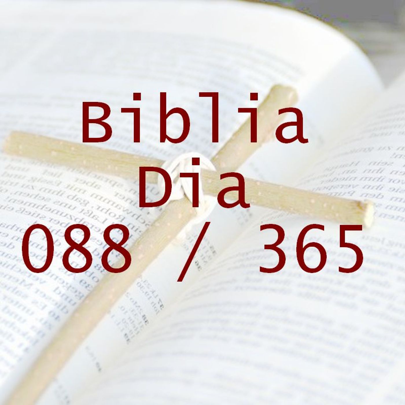 La Biblia en 365 dias