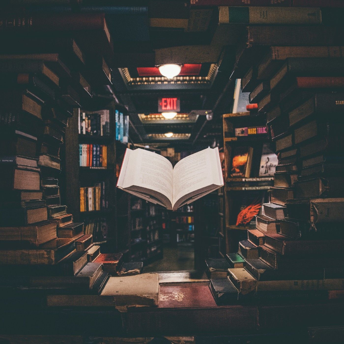 El enigma de los libros podcast artwork