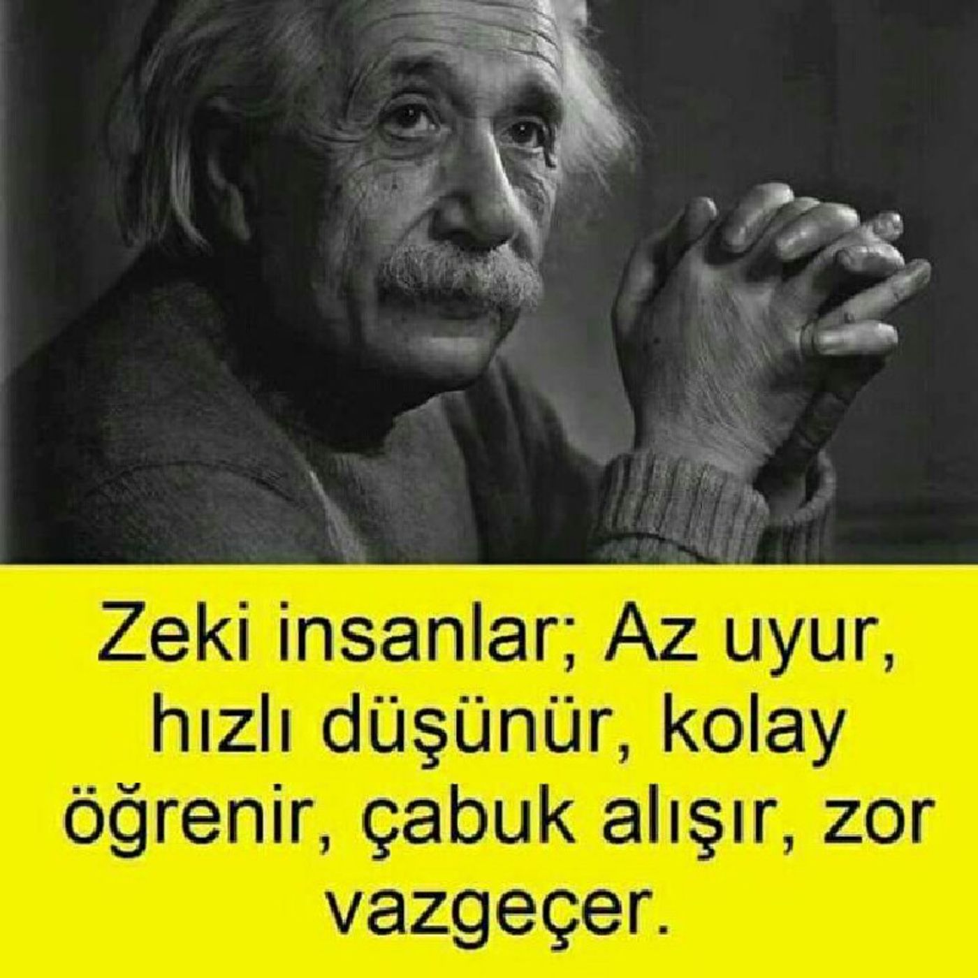 Zeki İnsanlar episode artwork
