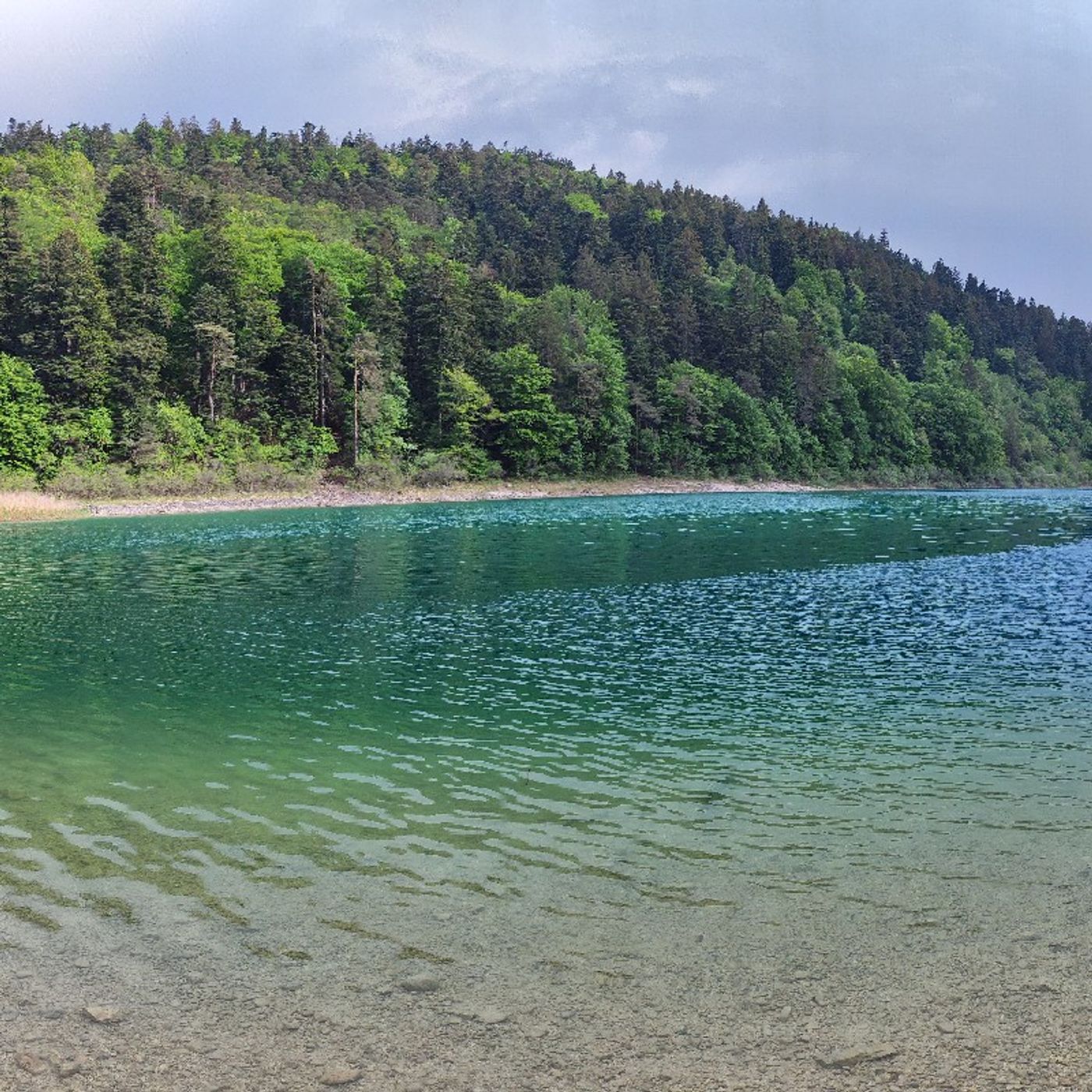 Episodio 358 - ETF + BitCoin = Crypto FIRE