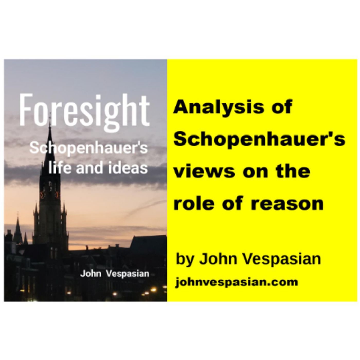 Analysis of Schopenhauer's views on the role of reason episode artwork
