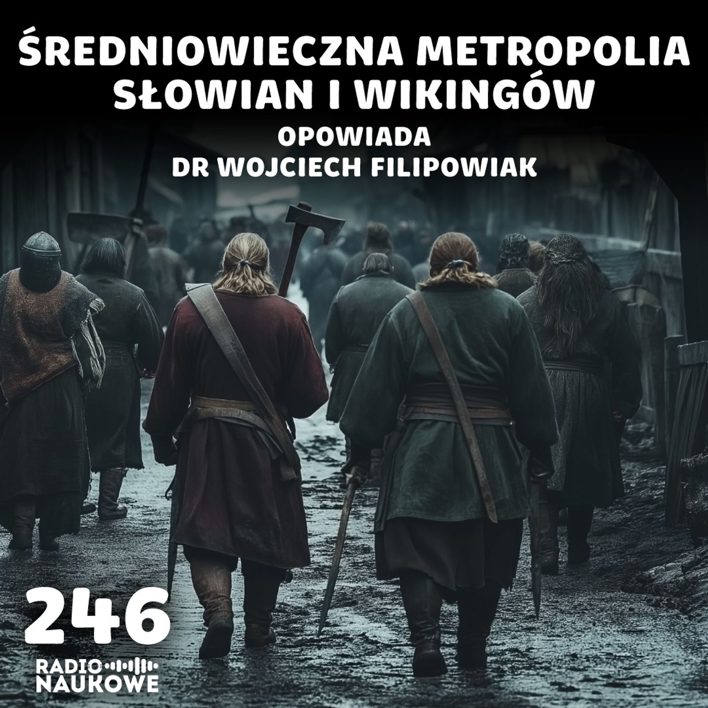 #246 Słowiański Wolin – przyciągał zbuntowanych wikingów i kupców z Arabii | dr Wojciech Filipowiak