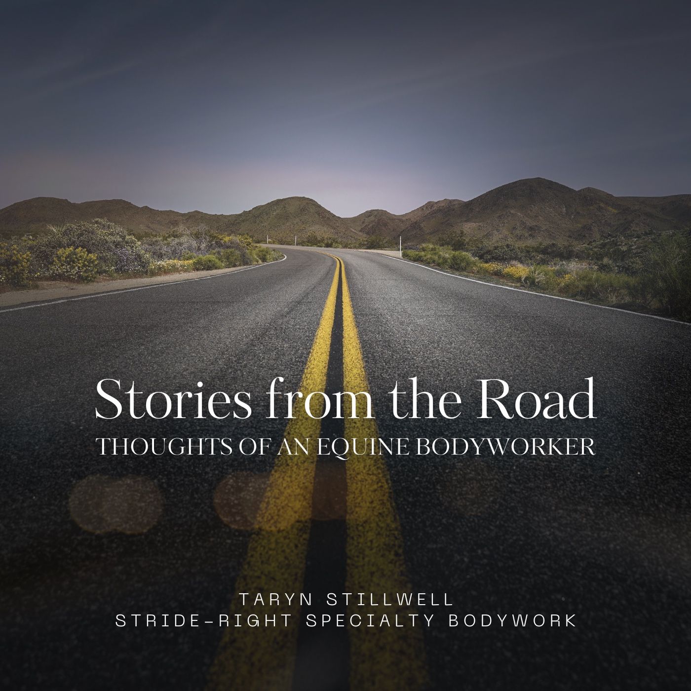 Stories From The Road podcast artwork