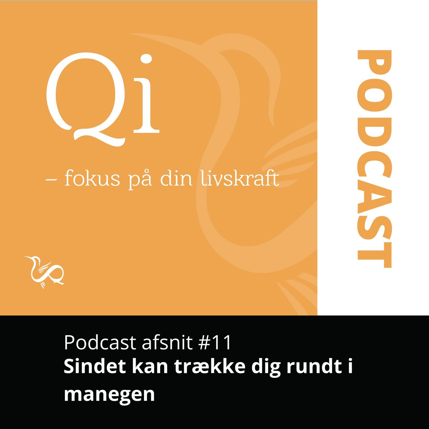 Qi - Fokus på din Livskraft