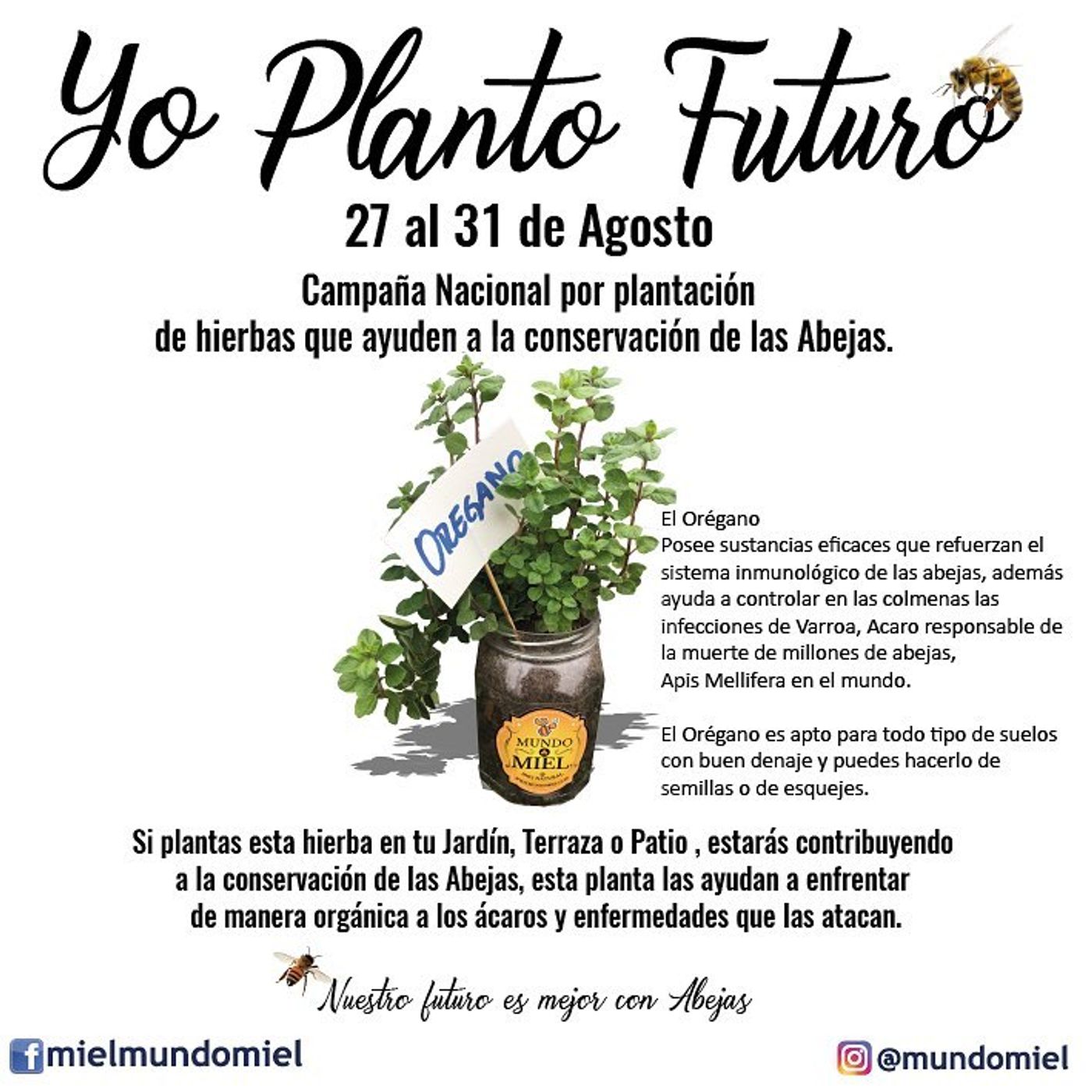NUESTRO OXÍGENO Yo planto futuro - Ing Marco Antonio Soto NUESTRO OXÍGENO Yo planto futuro - Ing Marco Antonio Soto