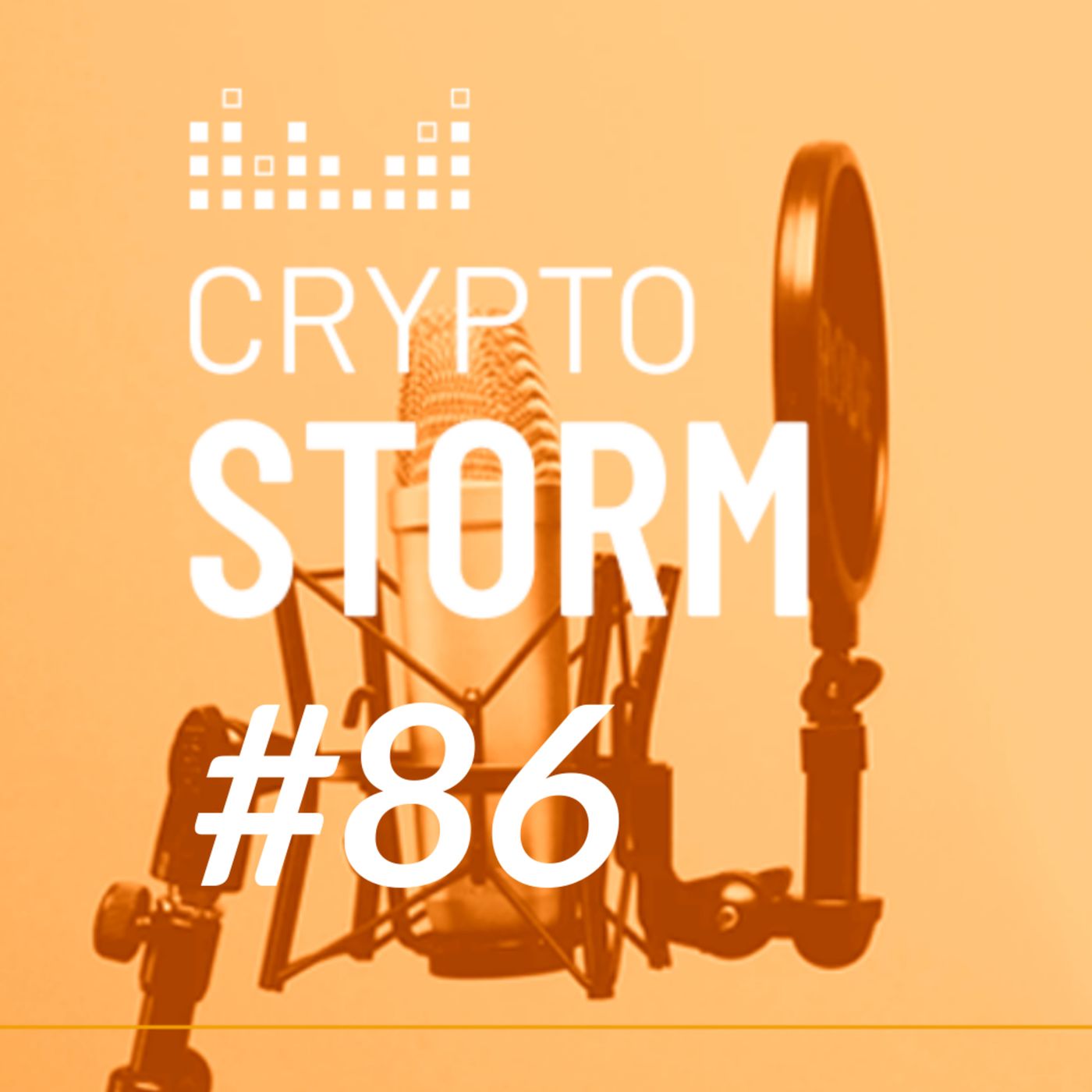 Crypto Storm
