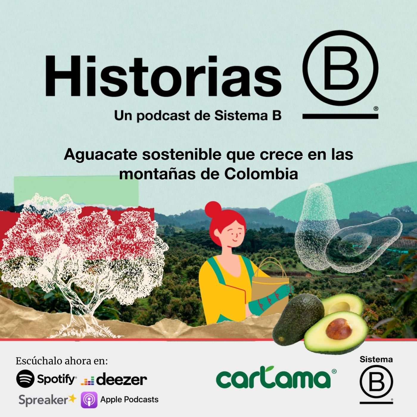 Cartama: Aguacate sostenible que crece en las montañas de Colombia
