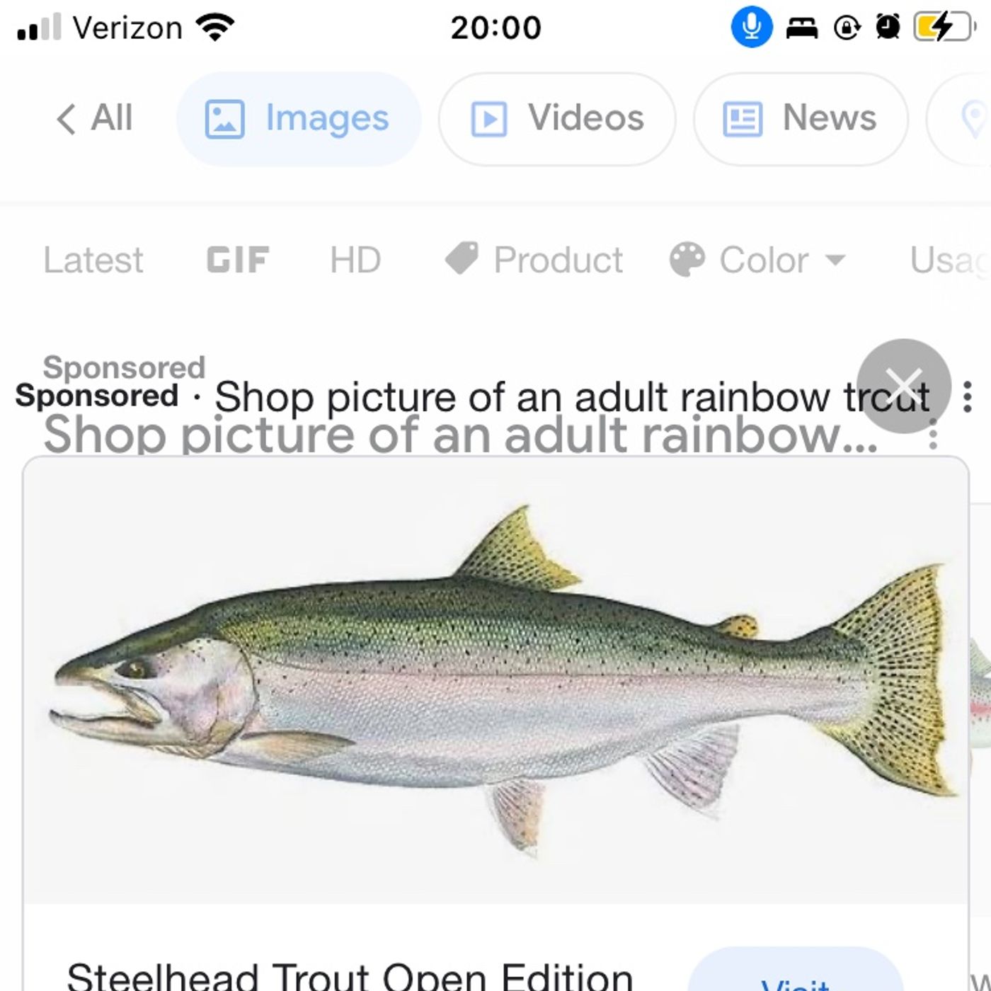 Saving up for fishing gear as well.