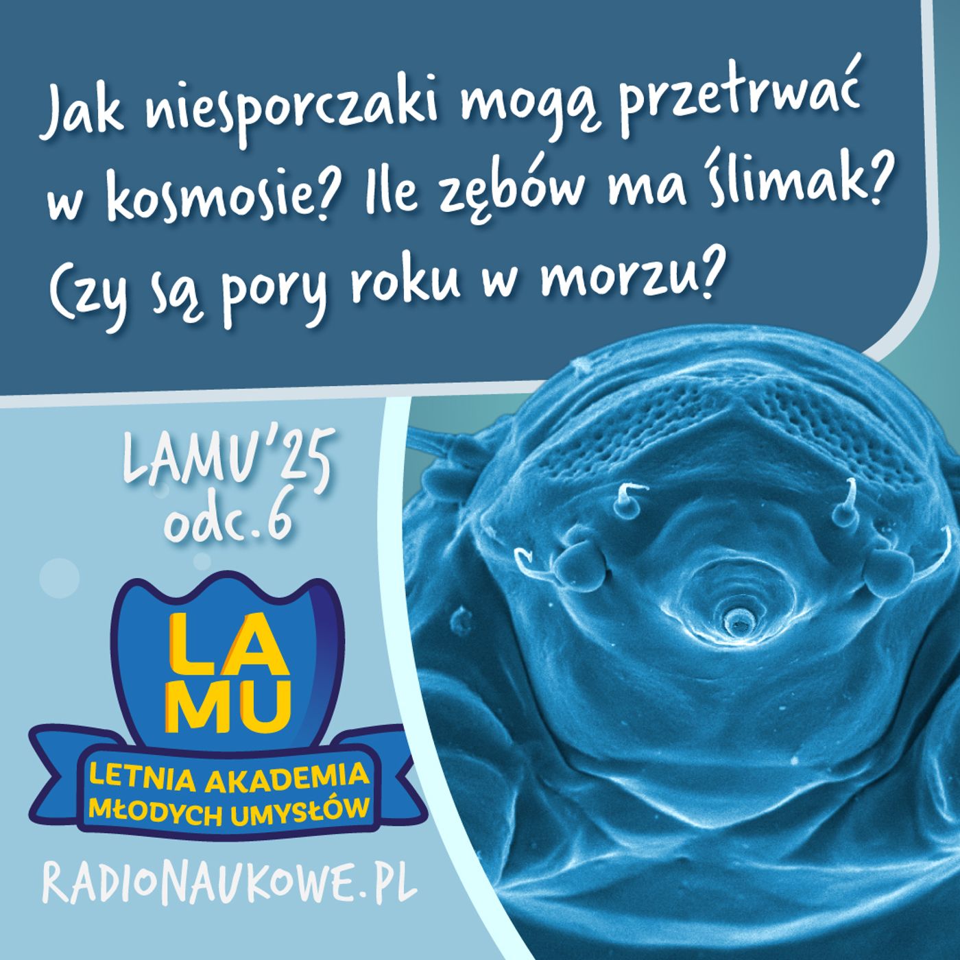 LAMU'25 #06 Ile zębów ma ślimak? Jak niesporczaki mogą przetrwać w kosmosie?