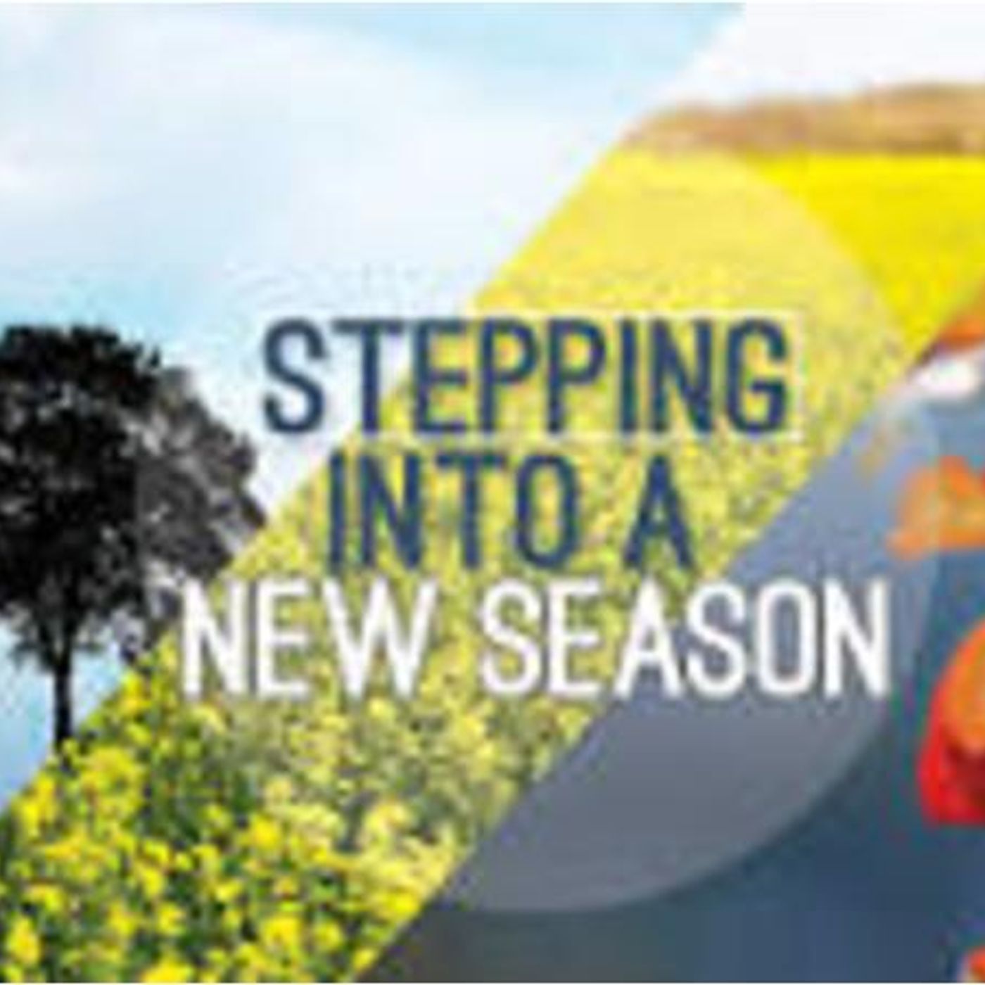 Spirit Alive Praise And Worship Experience: Stepping Into A New Season episode artwork