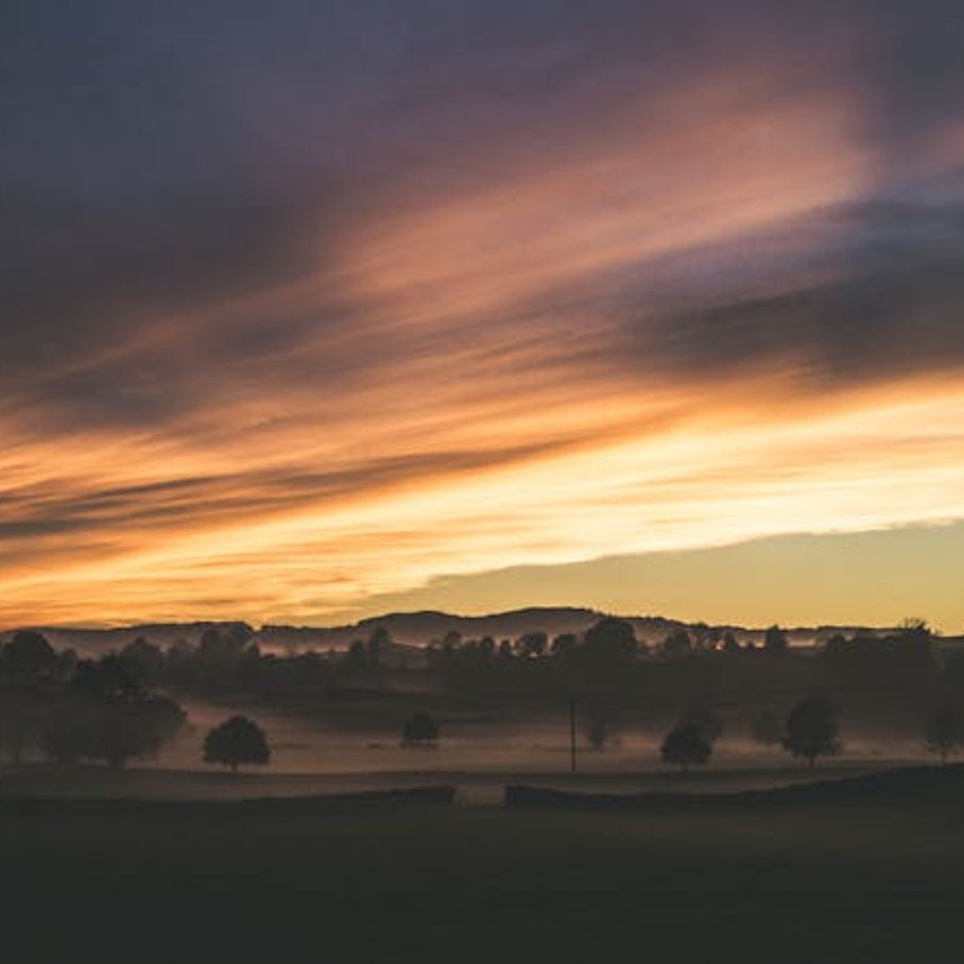 Three Reasons to Read the Bible Every Day in 2019