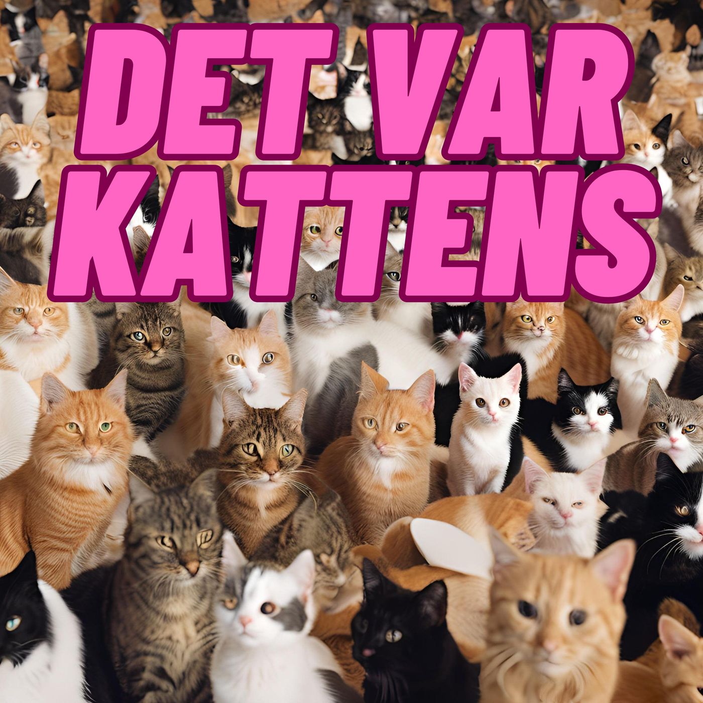 Det var kattens