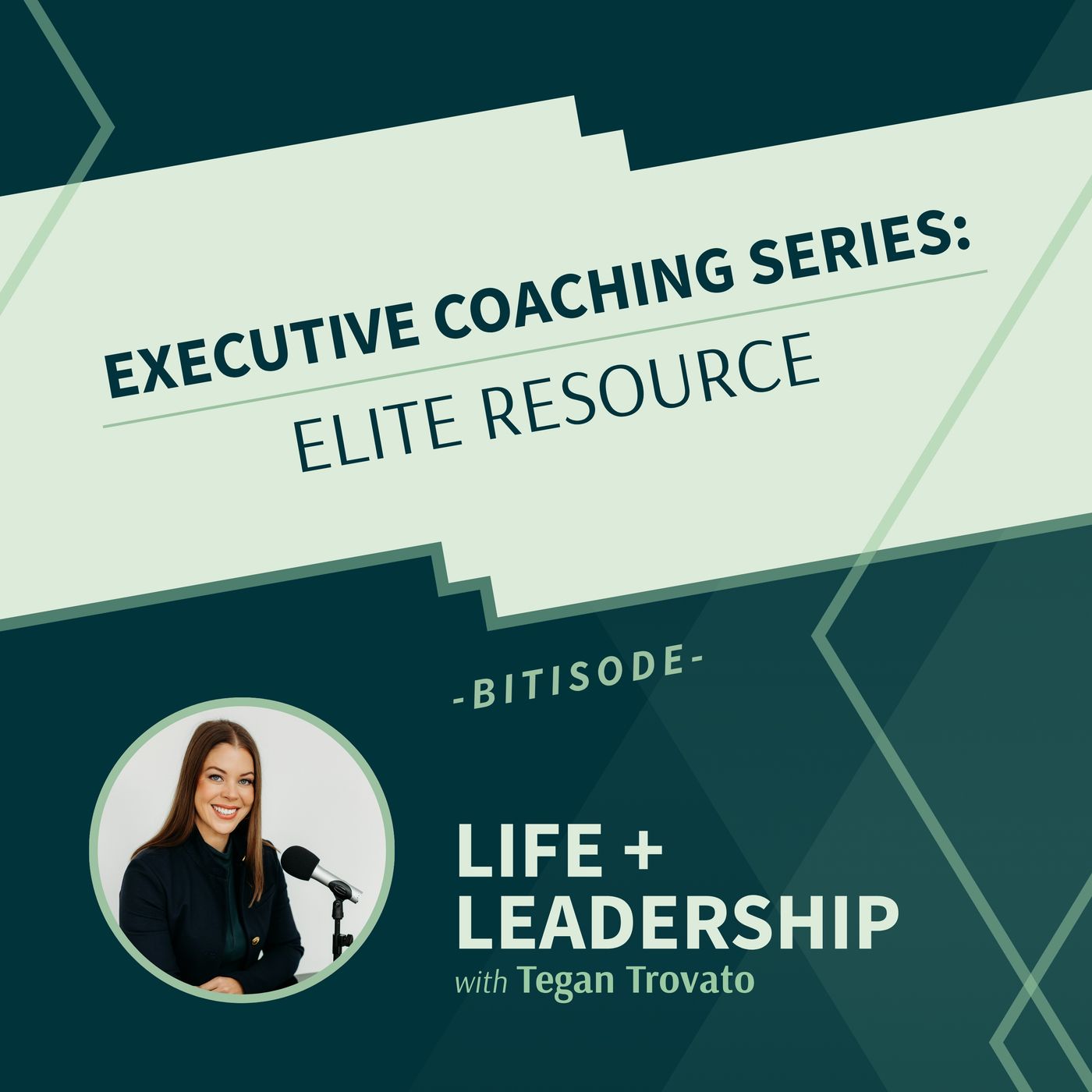 ELITE RESOURCE Navigating the Tough Tides of Executive Turnover: Executive Coaching Series