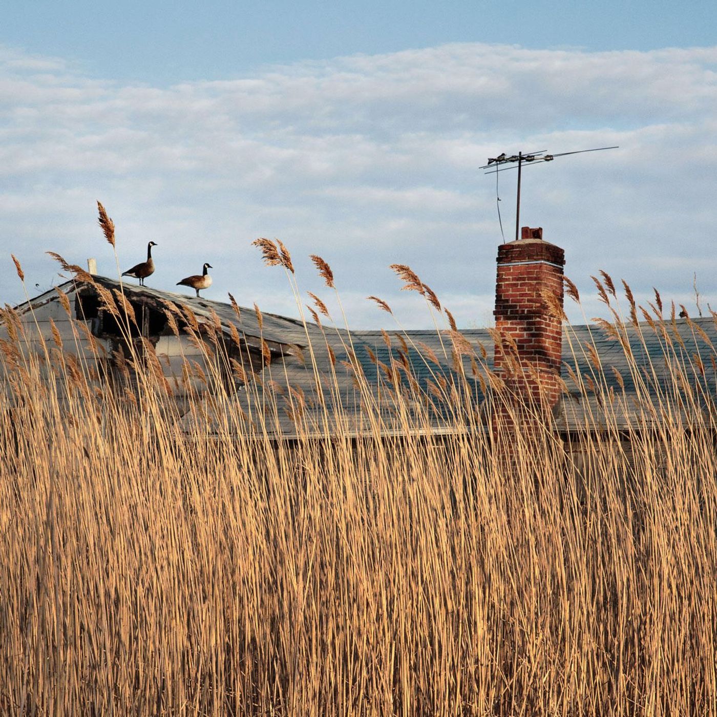The Moving Cairn