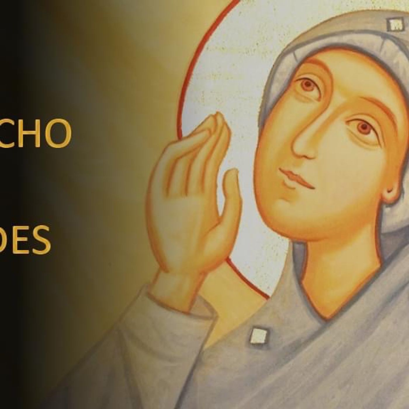 Meditaciones Evangelio De Hoy