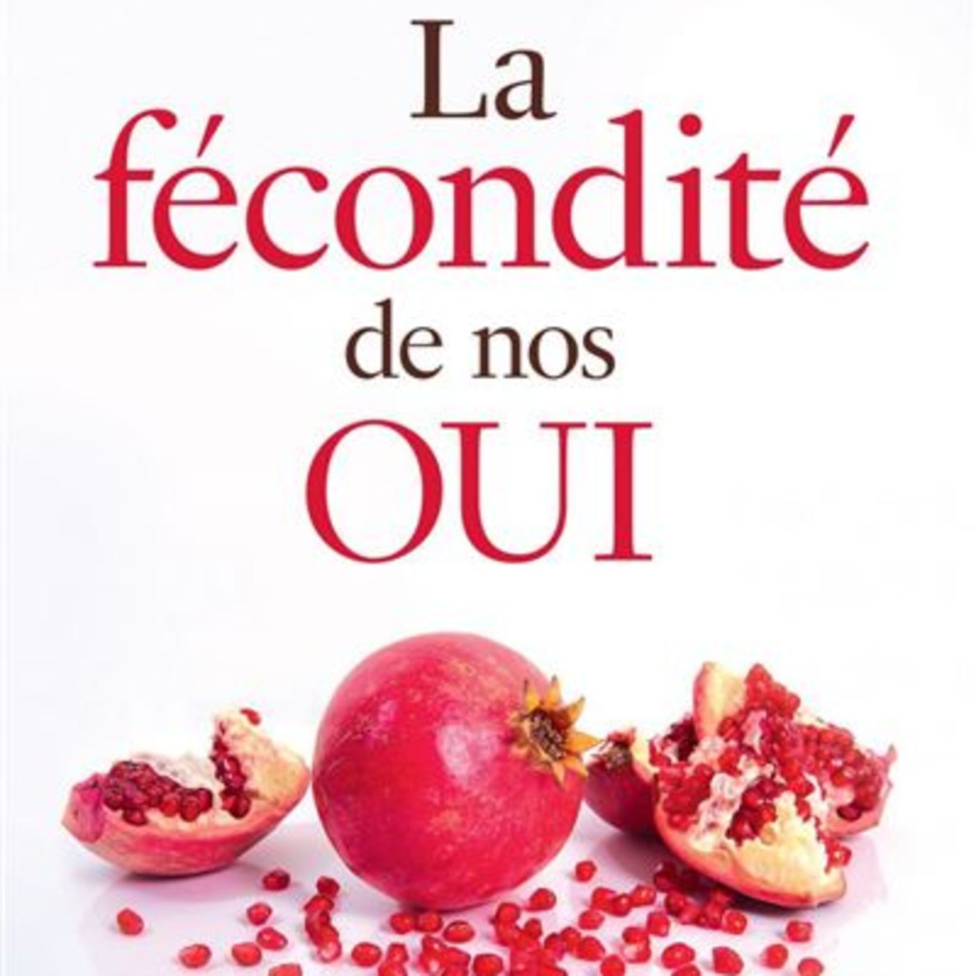 La fécondité de nos OUI / Sr Anne de Jésus episode artwork