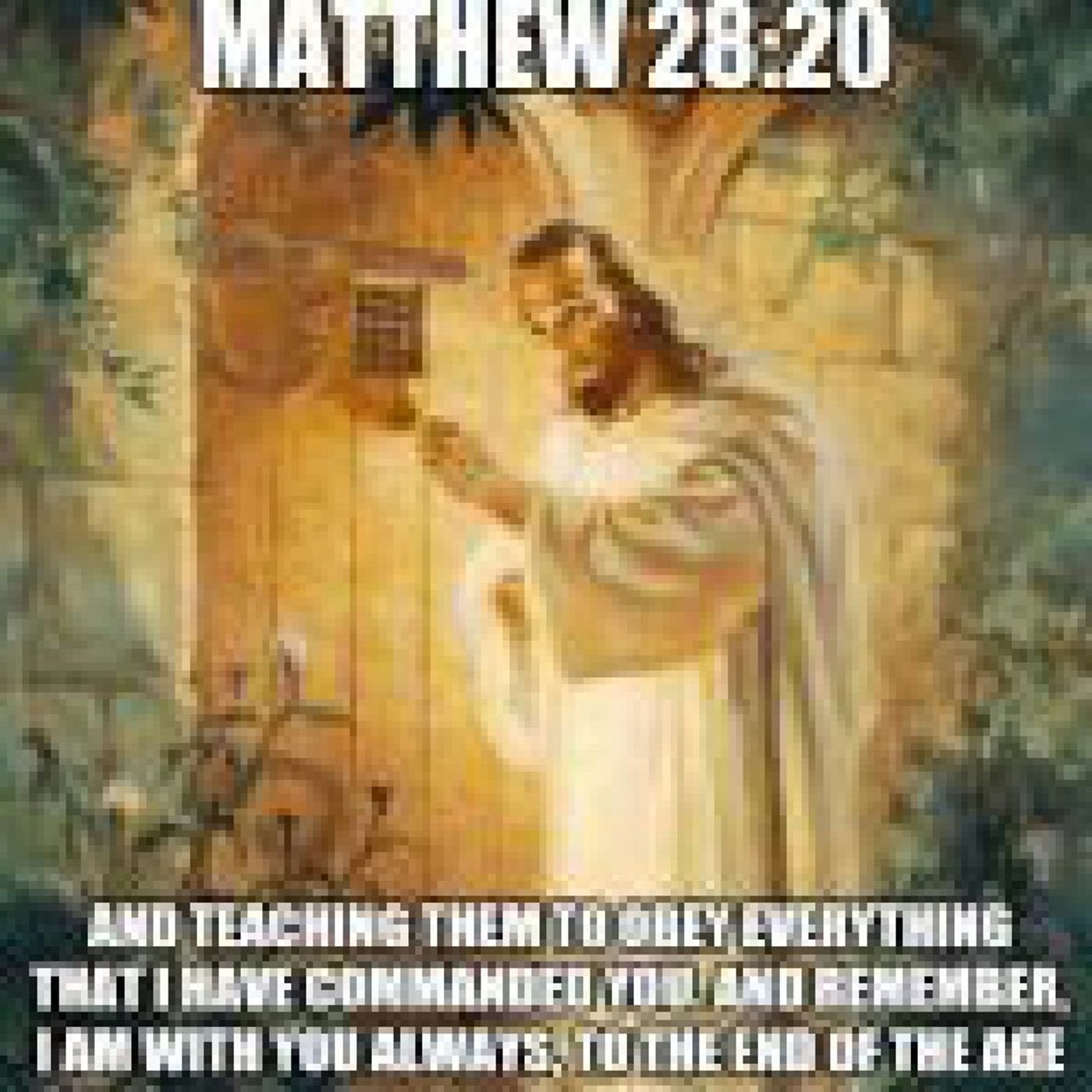 The Catholic Convert