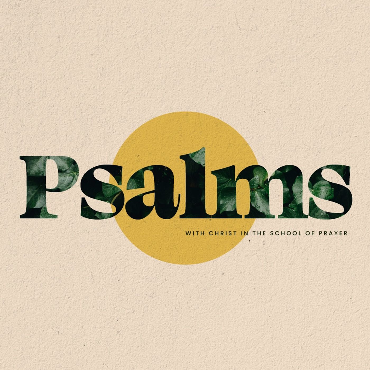 Psalms: Psalm 63