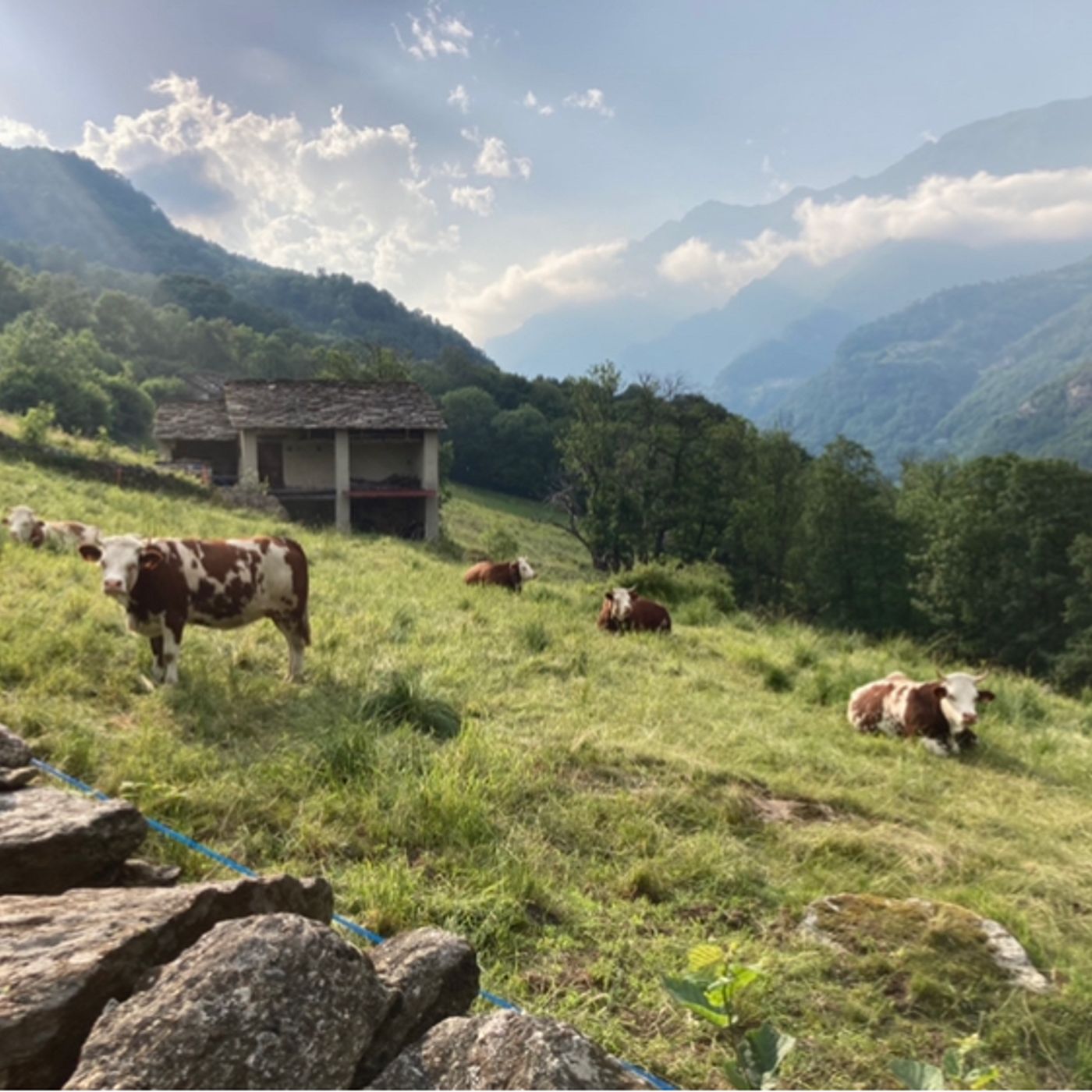 ViA(E) il podcast per viaggiare
