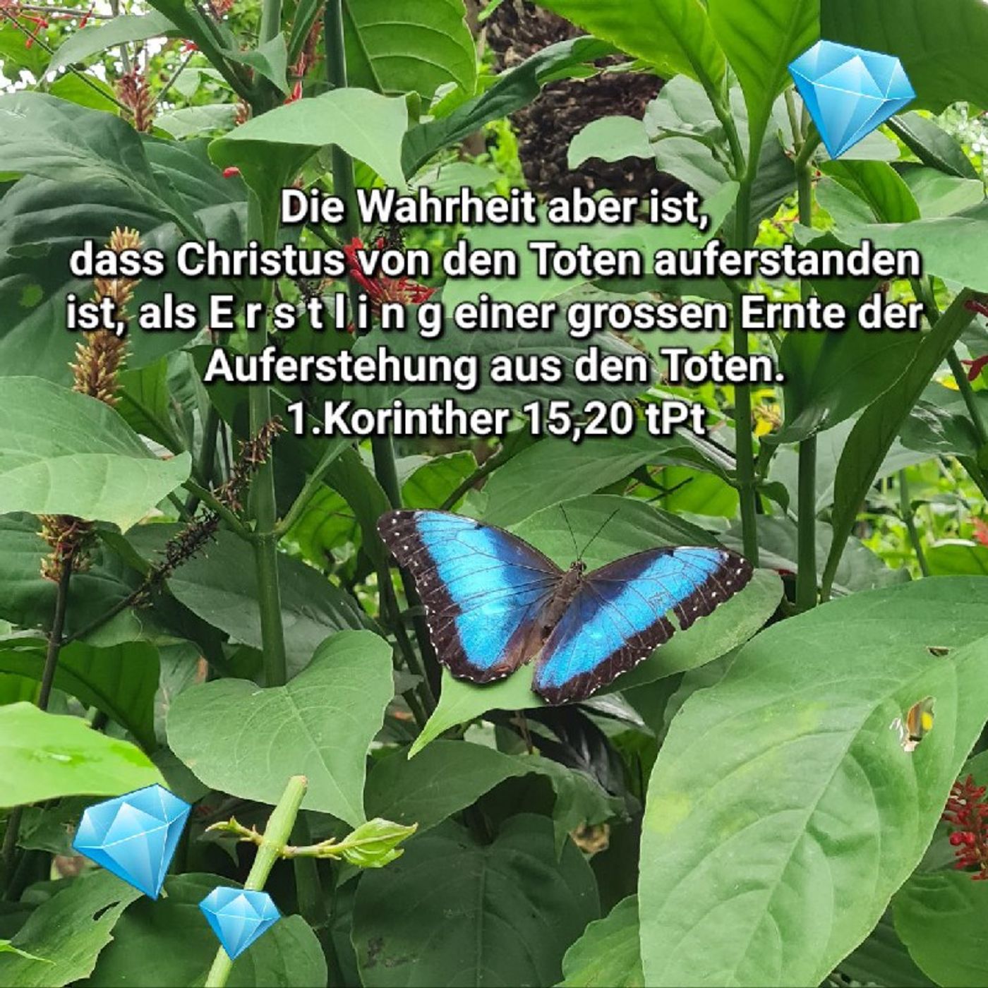 Kathleen_InChrist\'s New Life