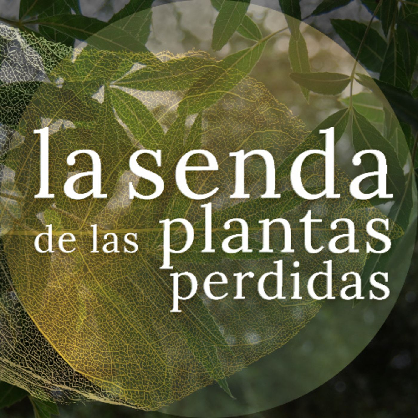 La Senda de las Plantas Perdidas