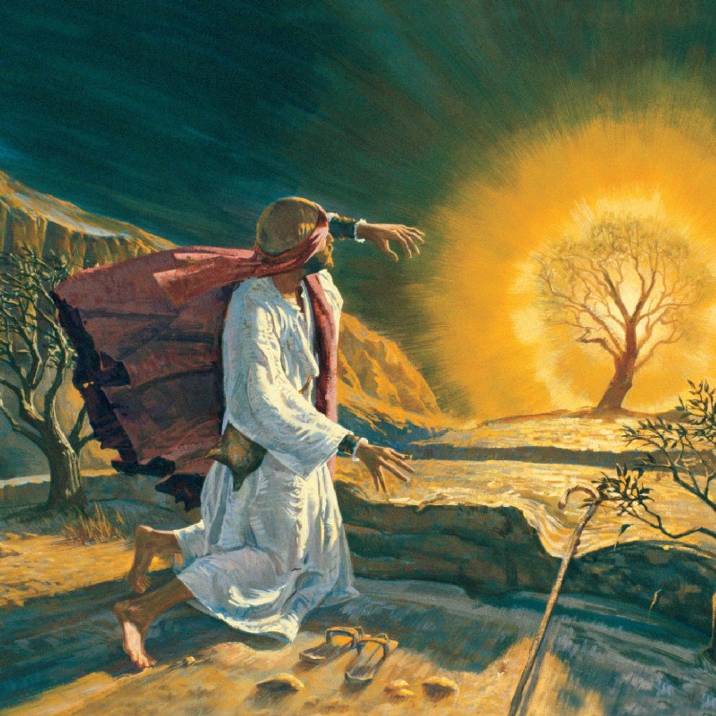 Fratellanza Cristiana