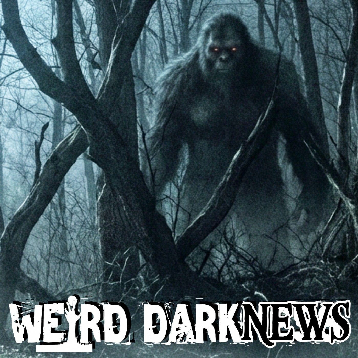 Ohio's Bigfoot Surge | Six Sightings In Four Days Has Researchers Alarmed