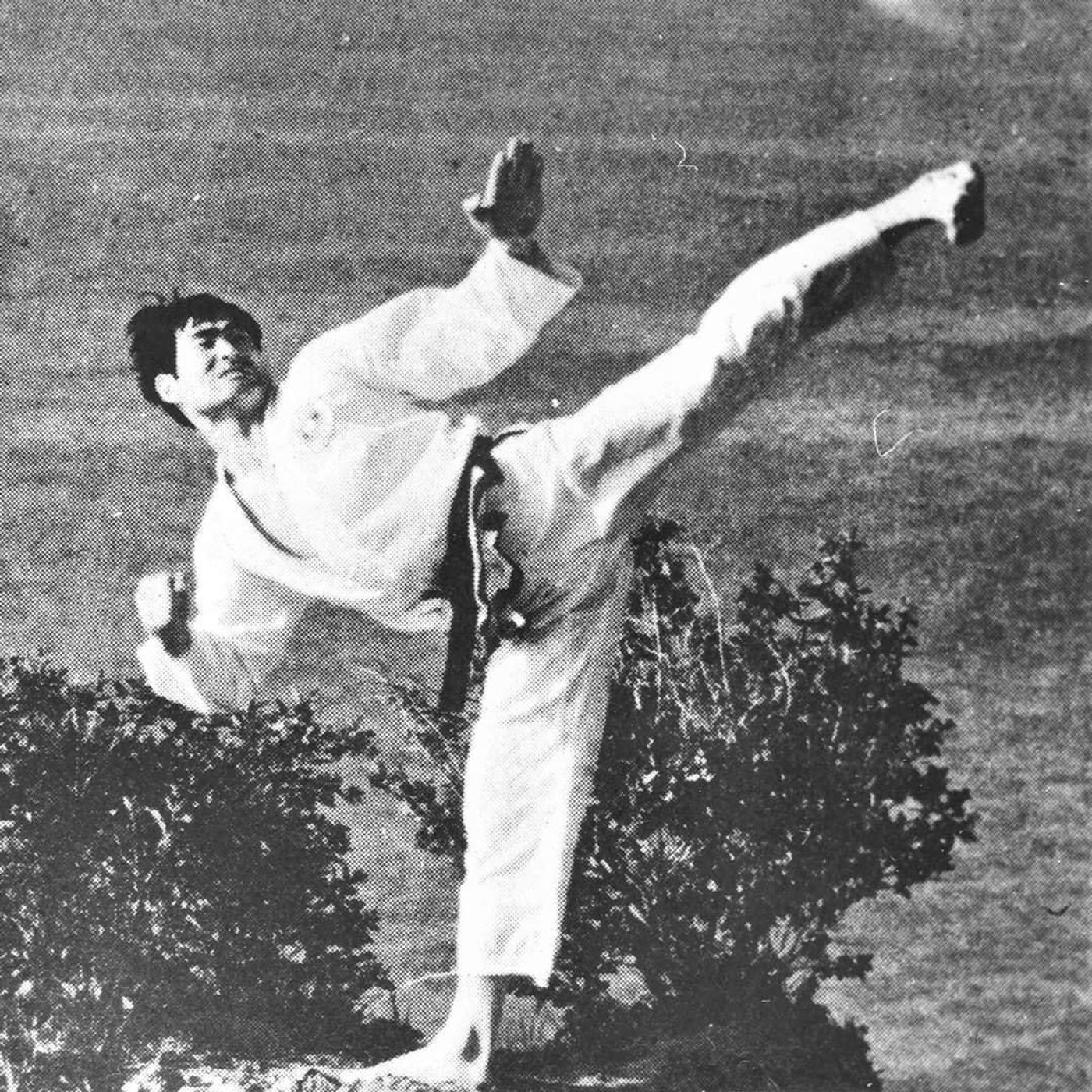 Black Belt Interviews