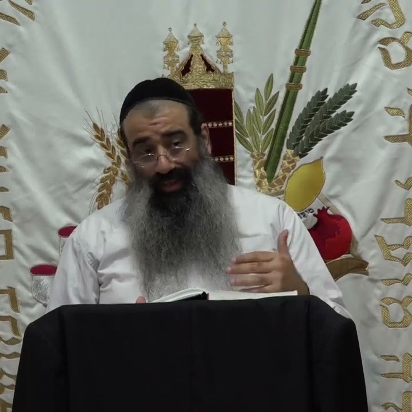 תומר דבורה שיעור 5