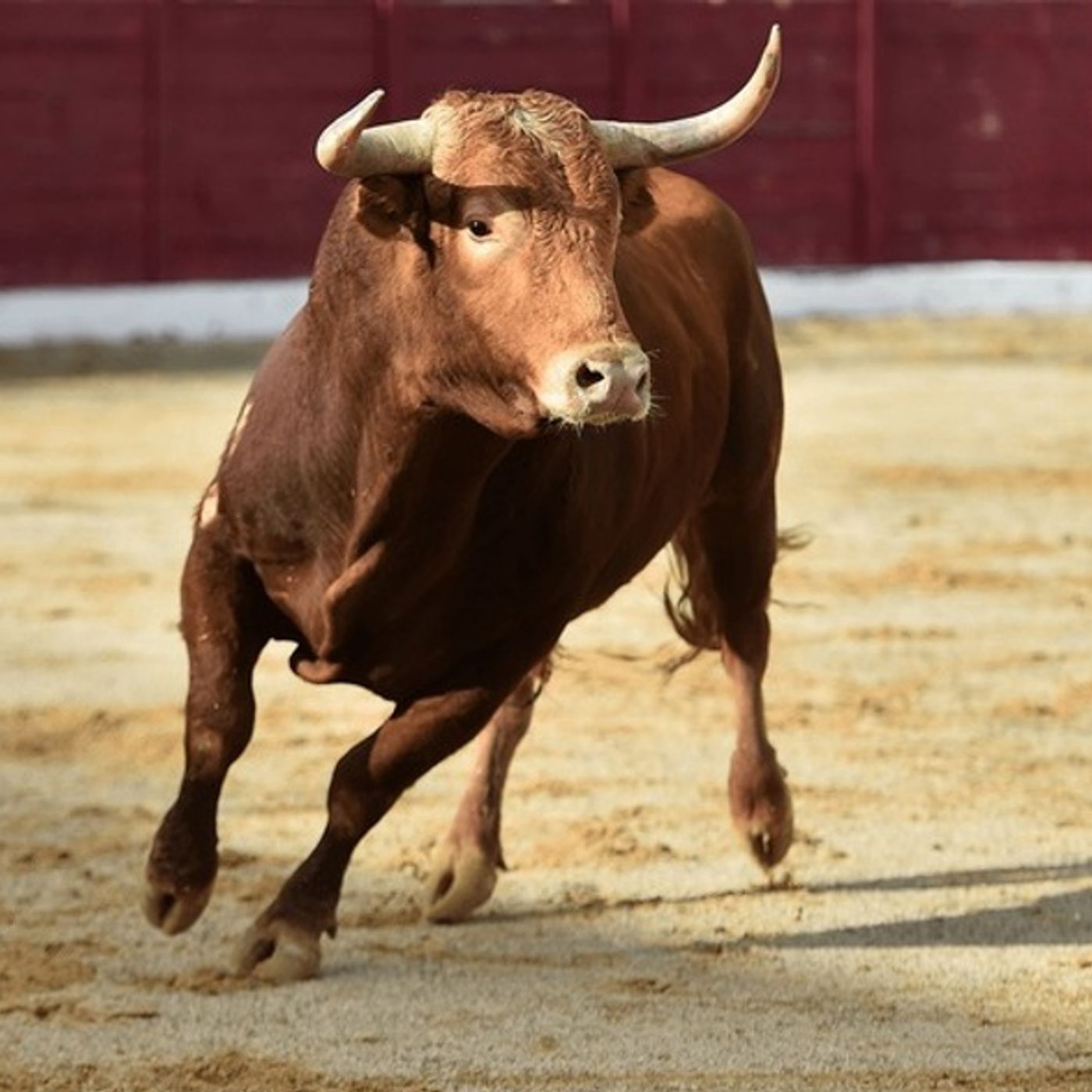 No Bull!  Talking Stampede Rodeo 2025 with Rodeo Director Kevin Debusk! episode artwork